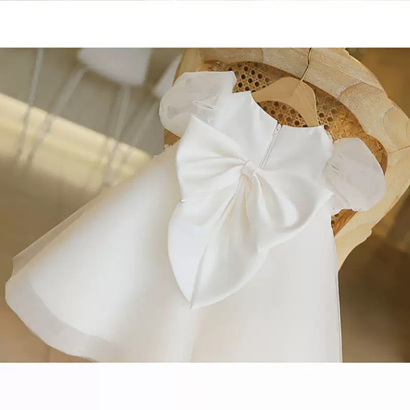 Girl Baby Girl One-Year-Old Dress Princess Style High Waist Ball Dress Baby's Birthday Wedding Dress Flower Children's Party Dress